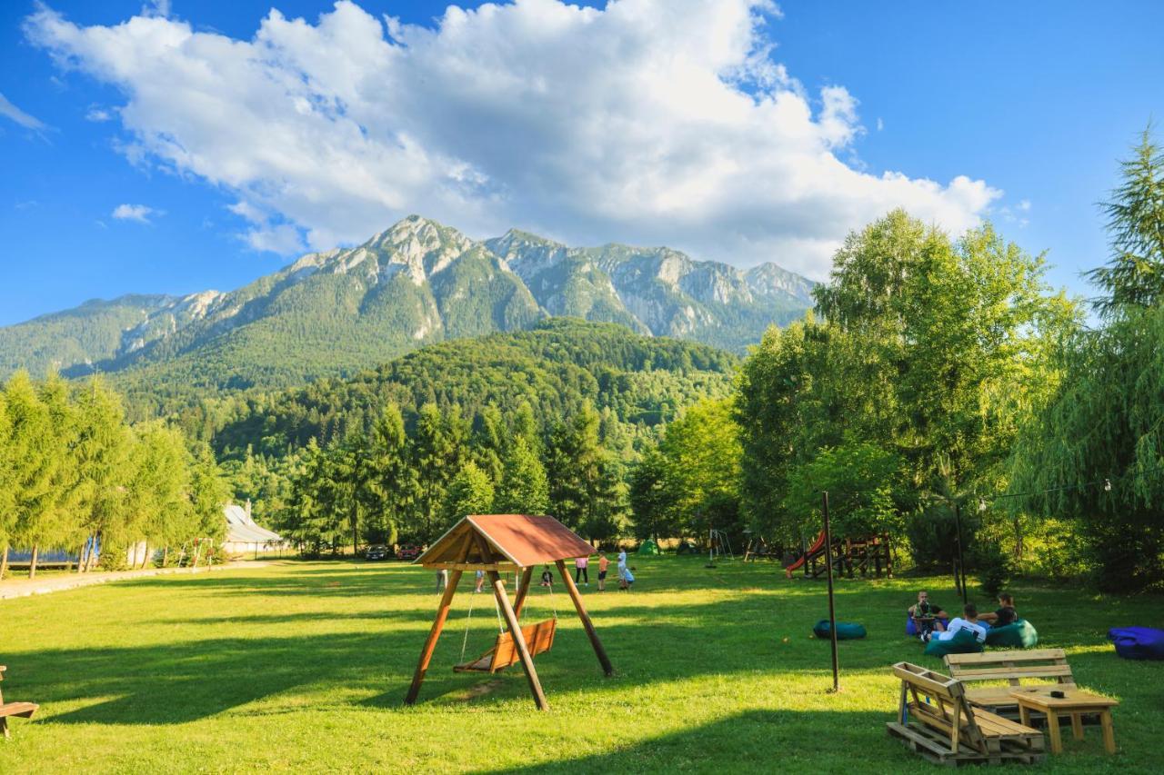 Pensiunea Piatra-Craiului Zarnesti Luaran gambar